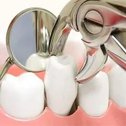 Dental mirror reflecting white tooth models on pink gum model for examination demonstration.